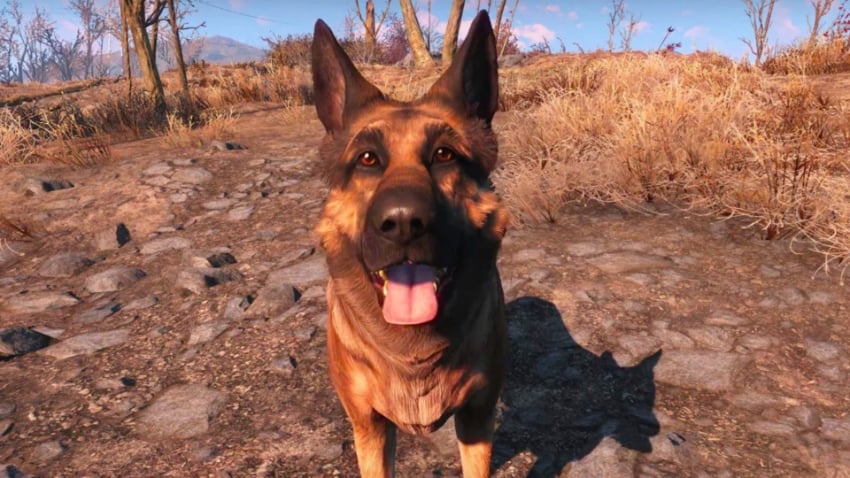 Best Fallout 4 Companion Mods - Everyone's Best Friend