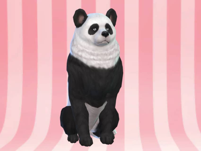 Best Sims 4 Pet Mods - Panda Maximus