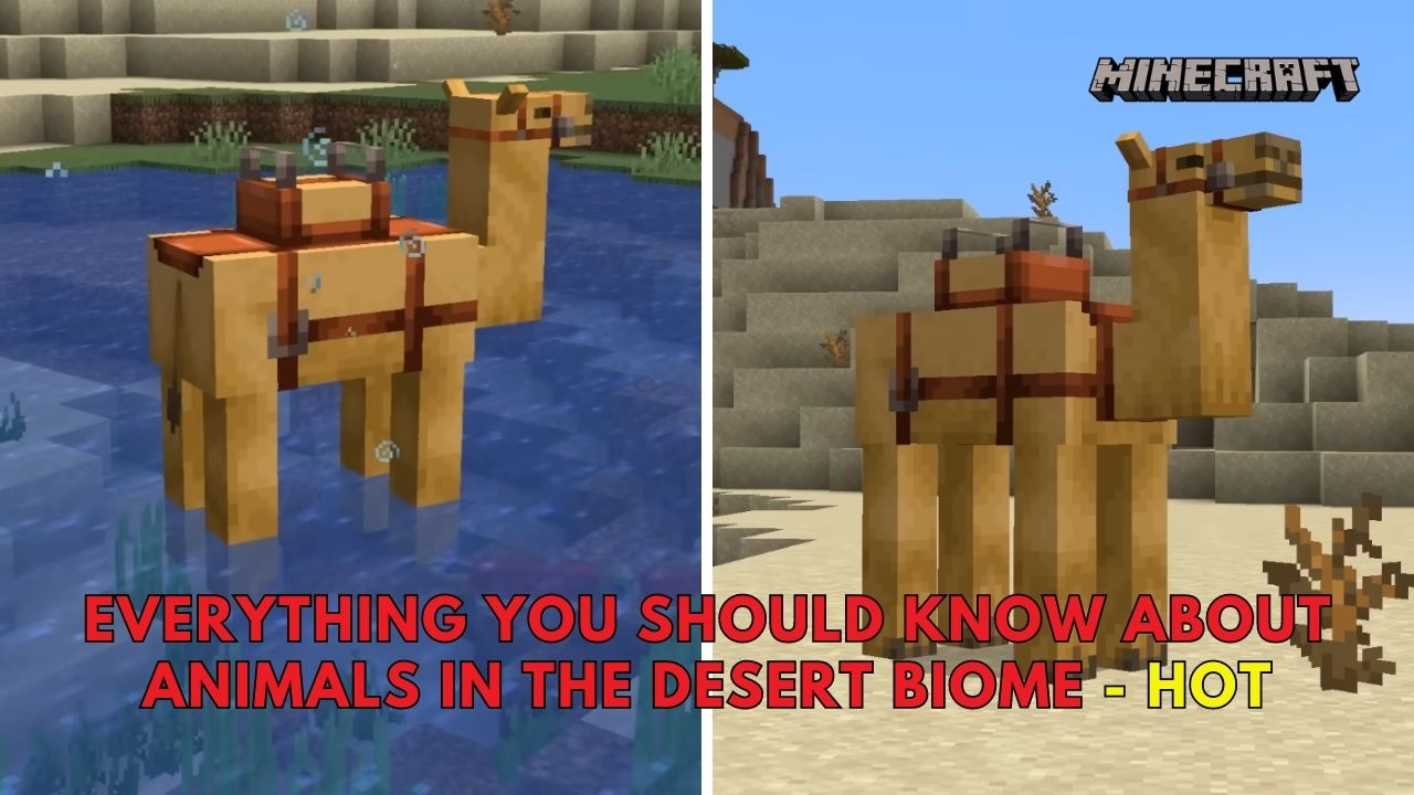 Everything You Should Know About Animals in the Desert Biome - Hot